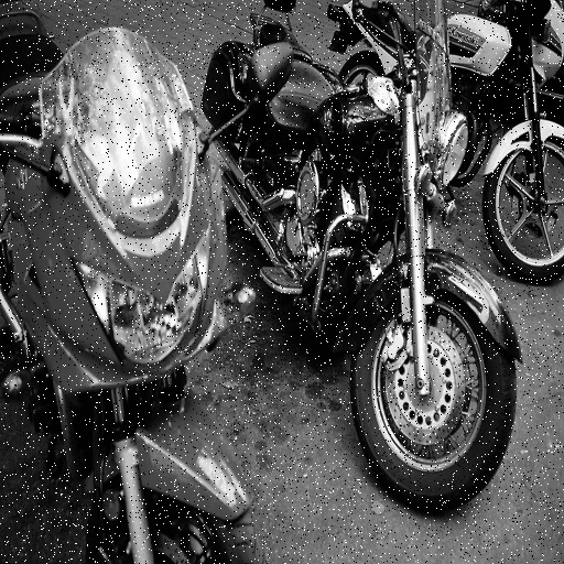 Photo before AI denoising — visible grain and ISO noise obscure detail